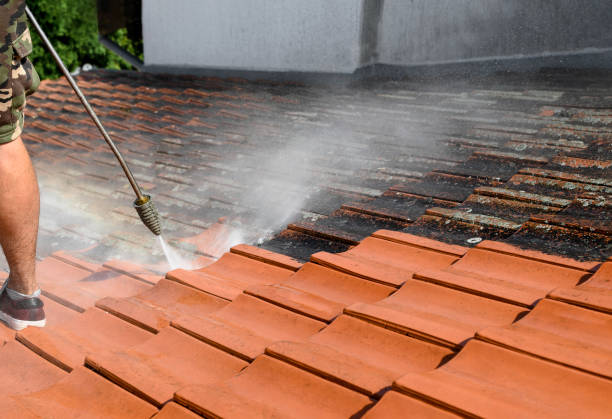 Best Residential Pressure Washing Services  in Box Elder, SD